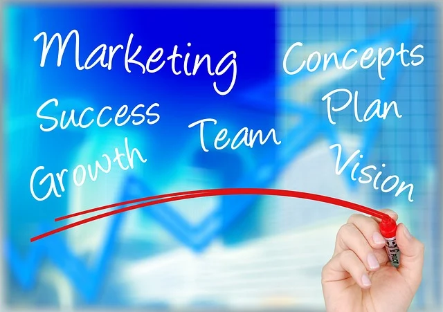 Marketing growth and team vision planning